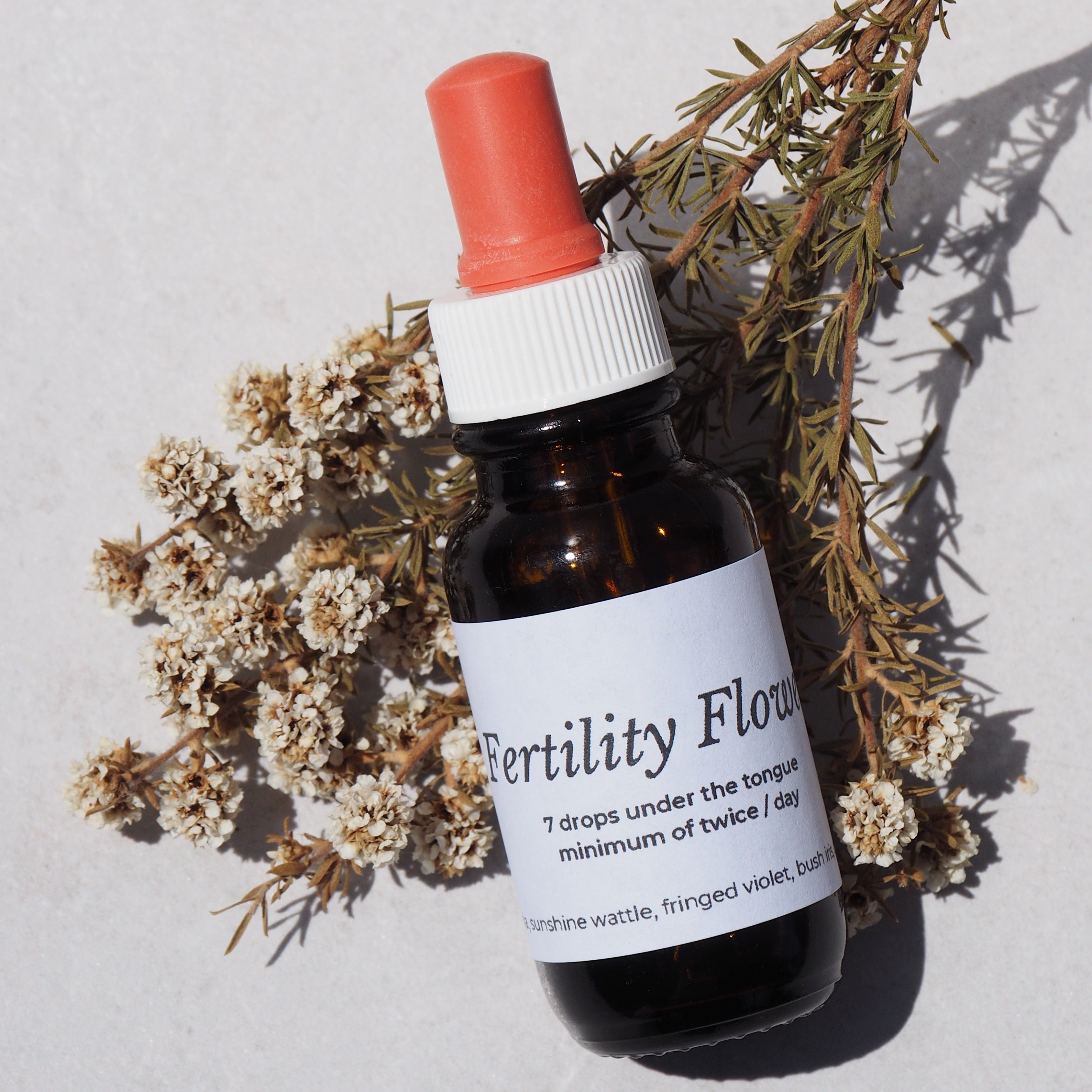 Fertility & Preconception Pack - Natural Health by Meah