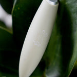 Whisk / Hand Mixer - Natural Health by Meah