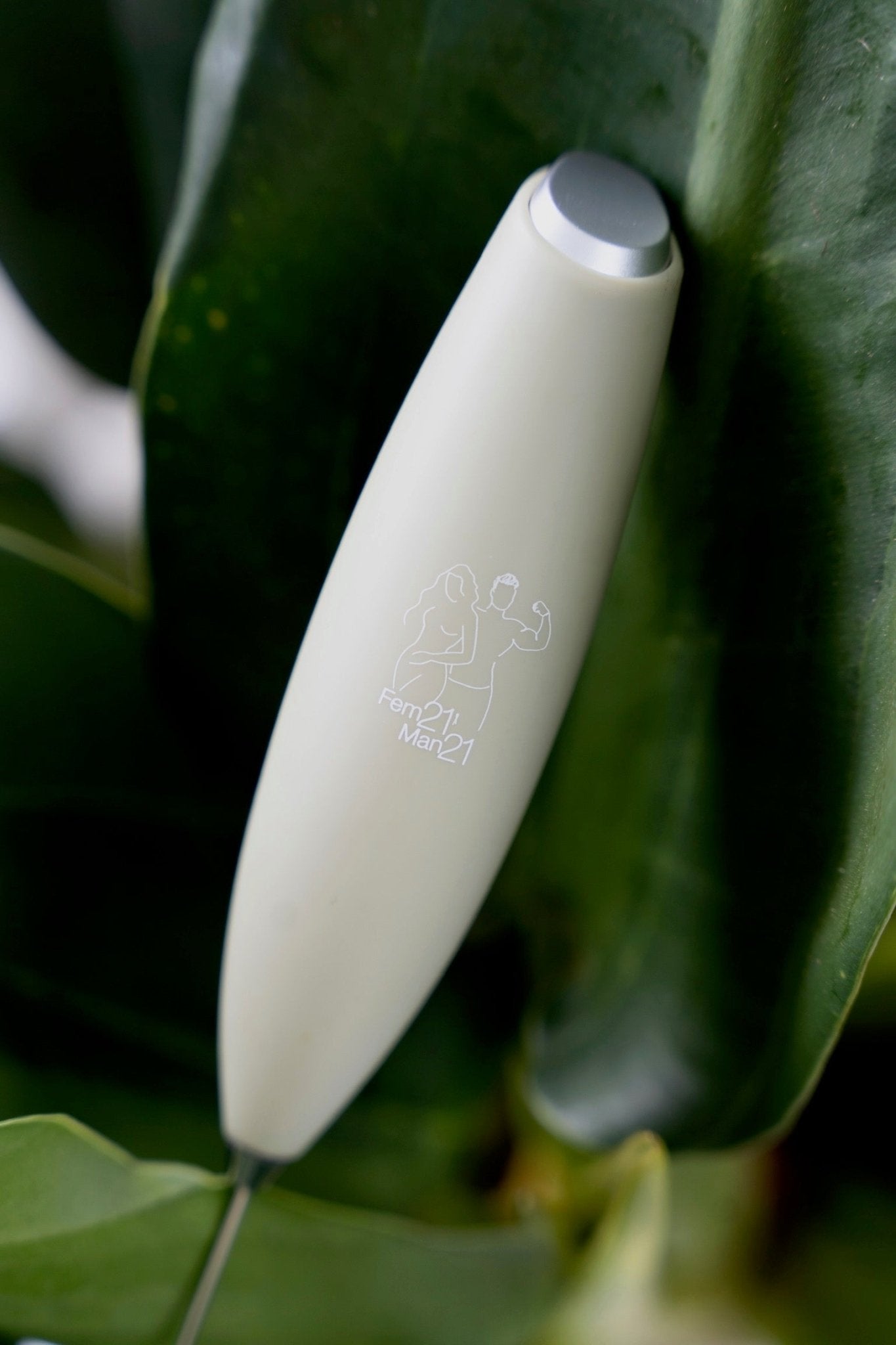 Whisk / Hand Mixer - Natural Health by Meah